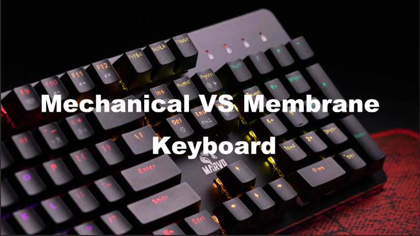 Mechanical Keyboard vs. Membrane Keyboard